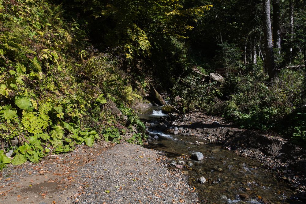 Photograph by Владимир