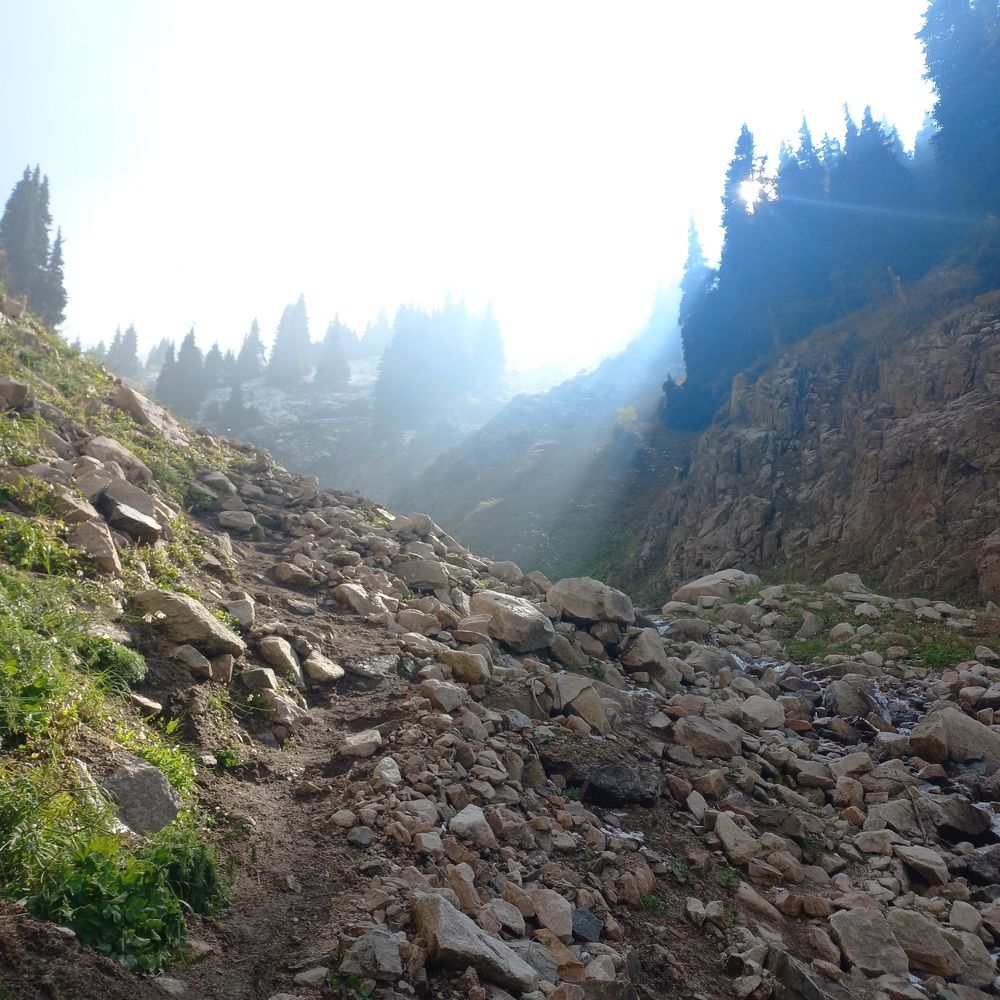 Photograph by Андрей