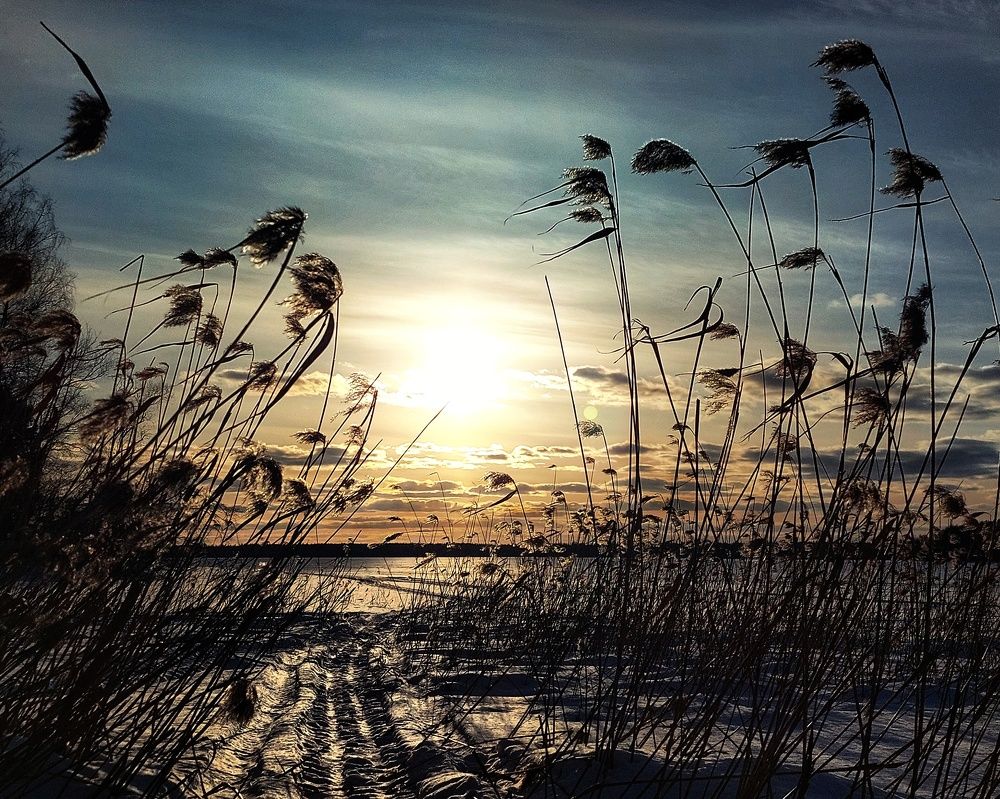 Photograph by Сергей Малашкин