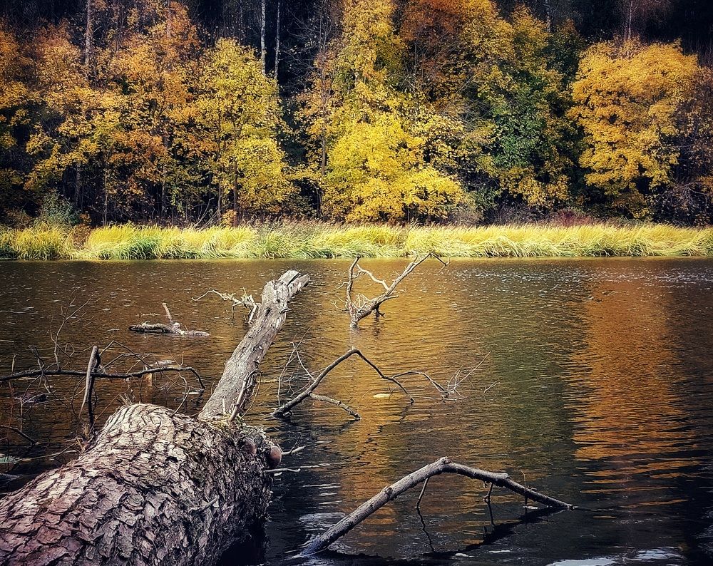 Photograph by Сергей Малашкин