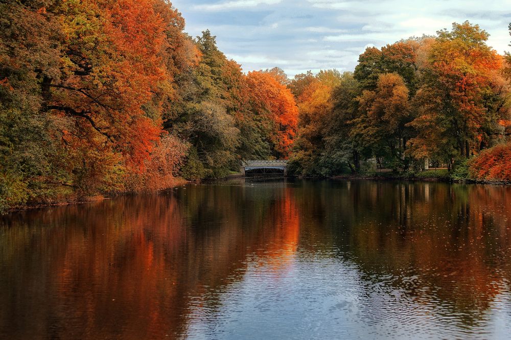 Photograph by Татьяна Бравая