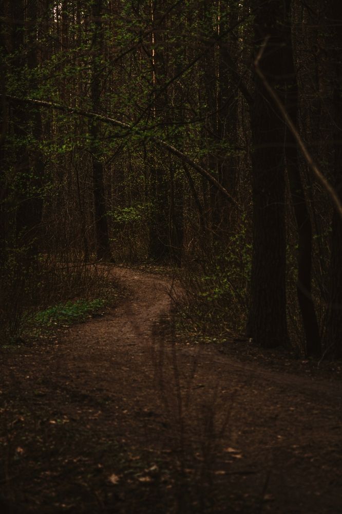 Фотография автора Павел Арсеев