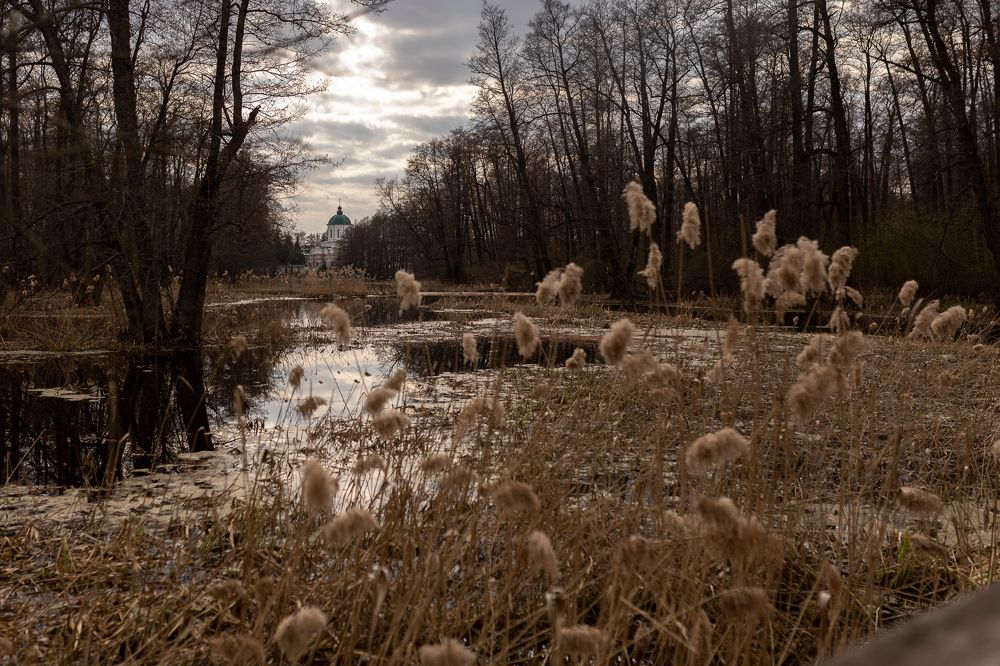 Photograph by Анастасия Веретенникова