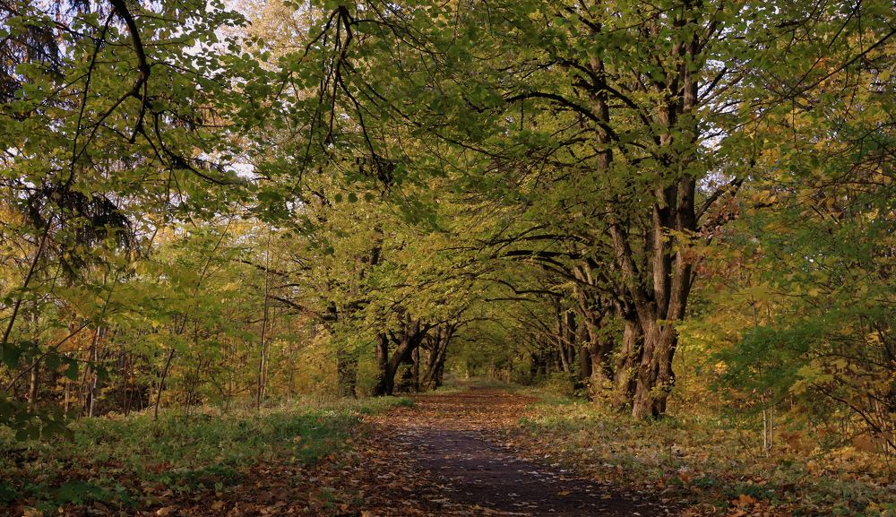 Photograph by елена