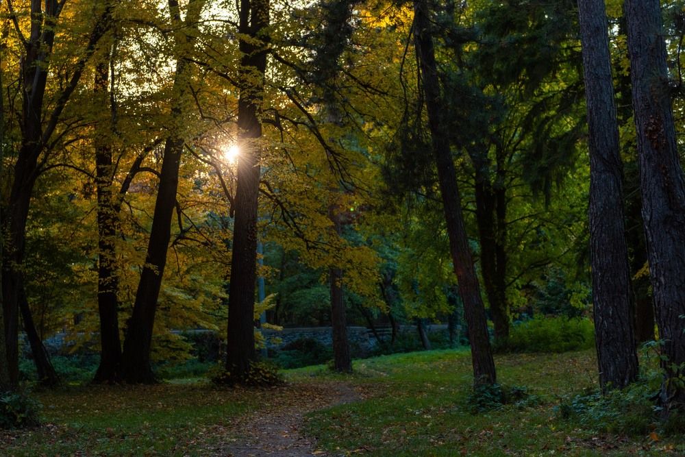 Фотография автора Наталья Старикова