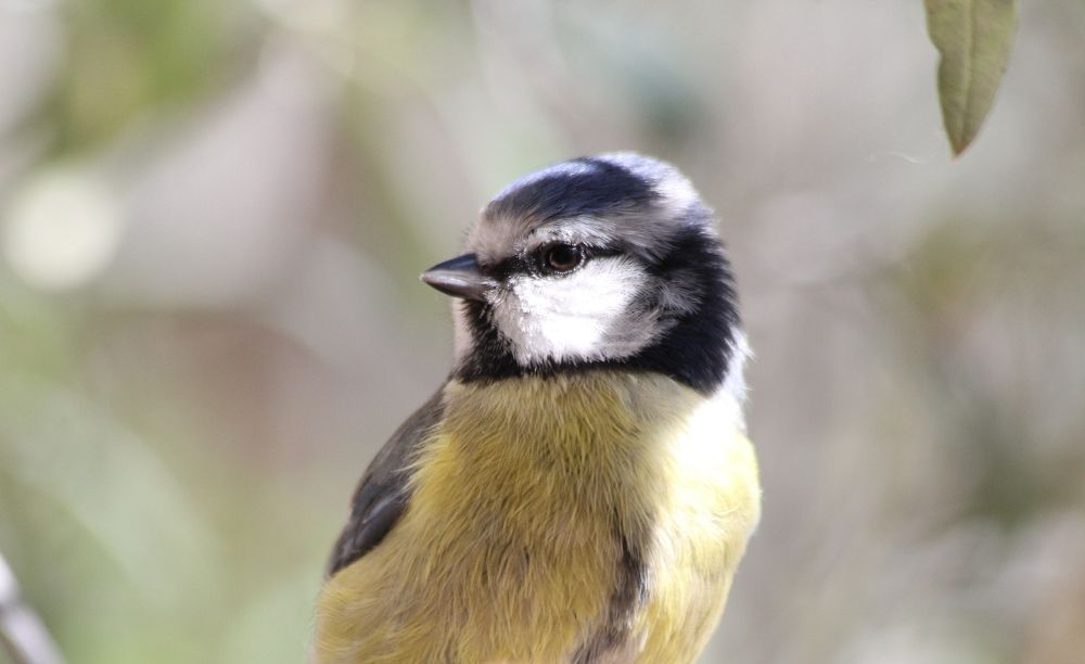 Photograph by Nadzeya