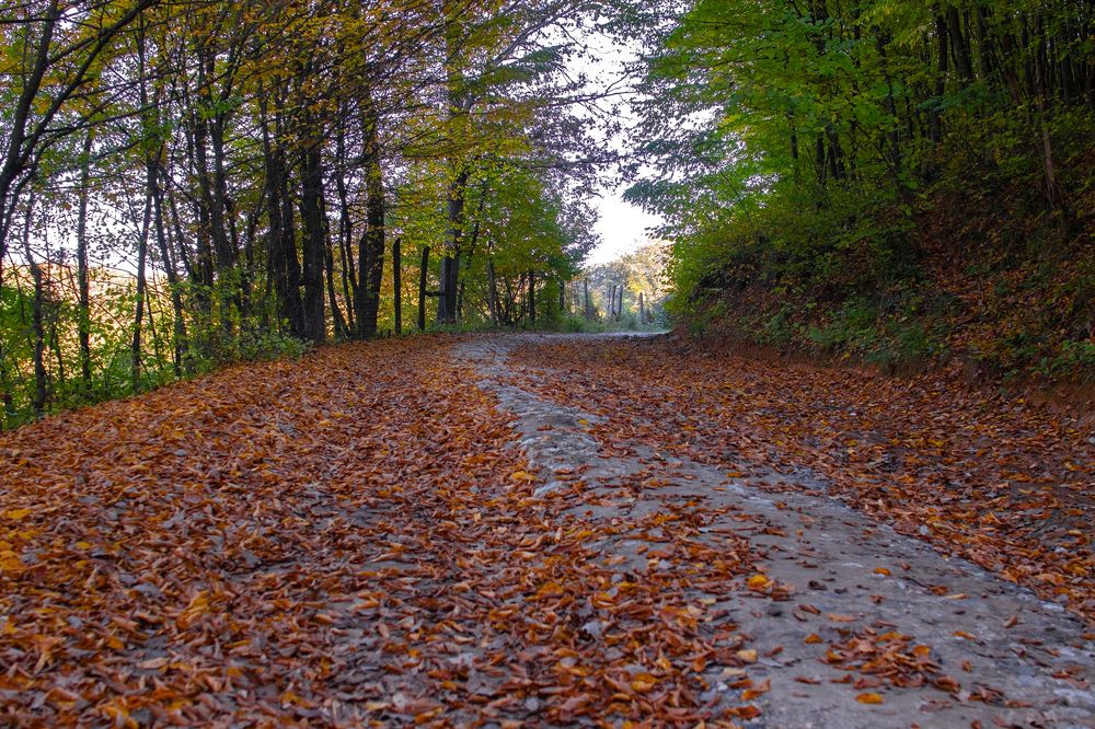 Photograph by Maria Kincse-Boros