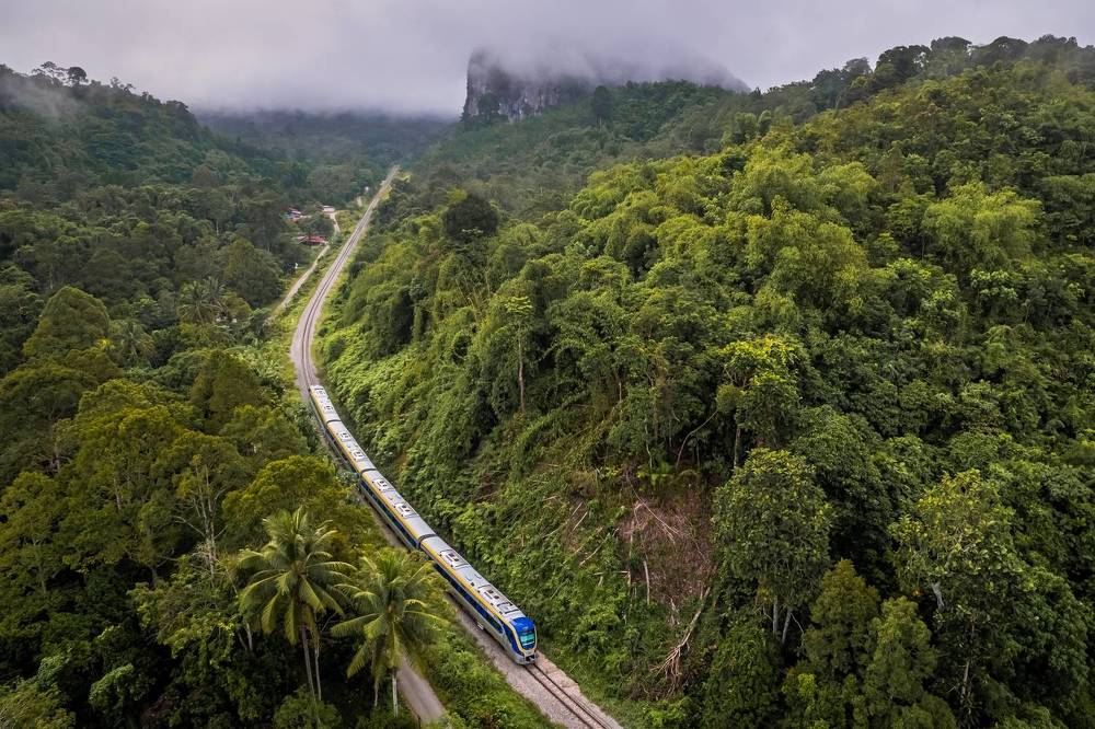 Railway In The Thick Forest