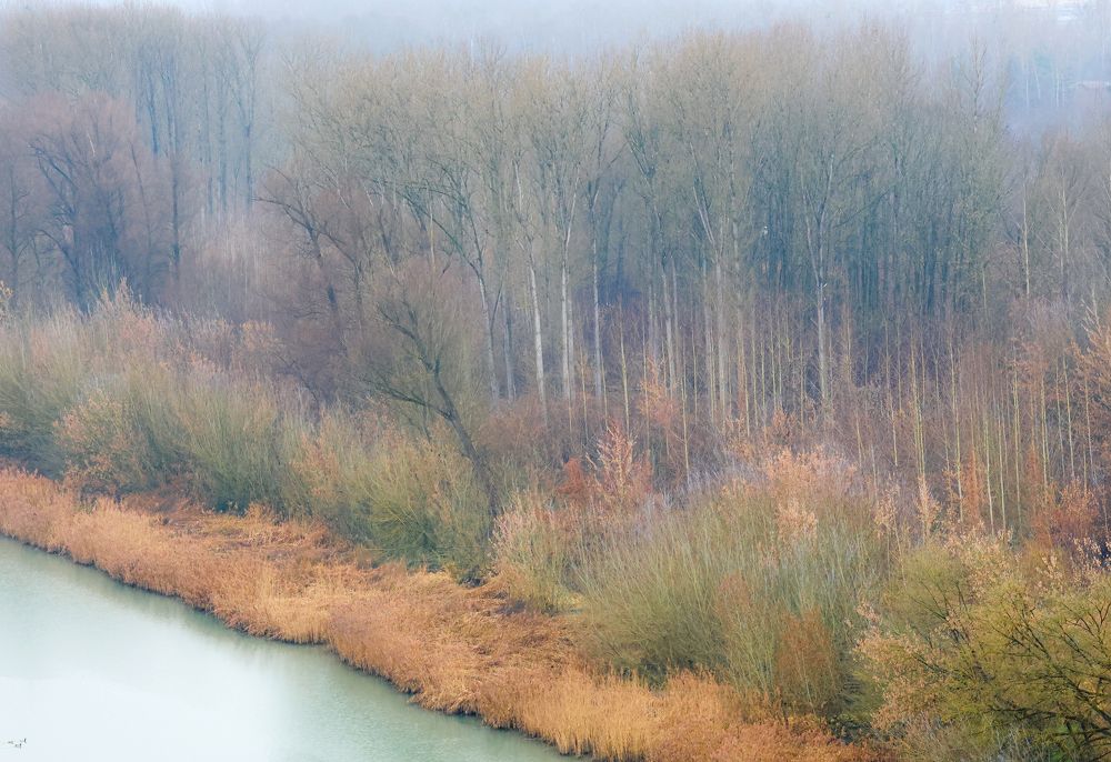 Photograph by Eva Wiedemann