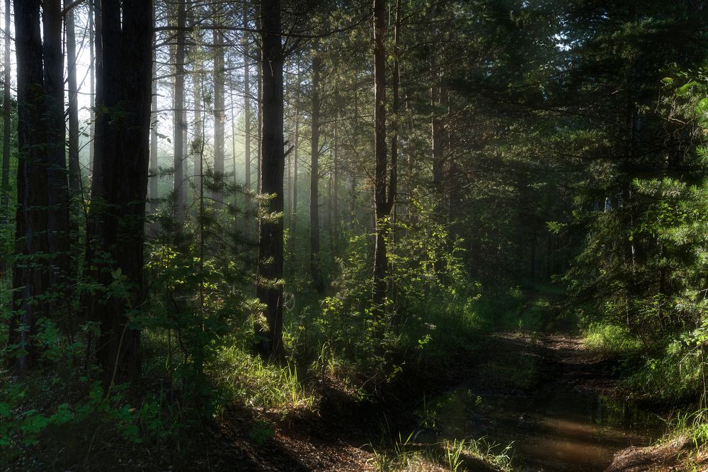 Фотография автора Иван Грин