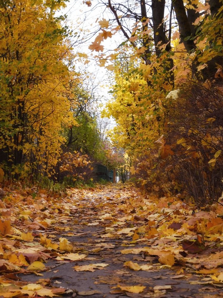 Photograph by Елена Павлова