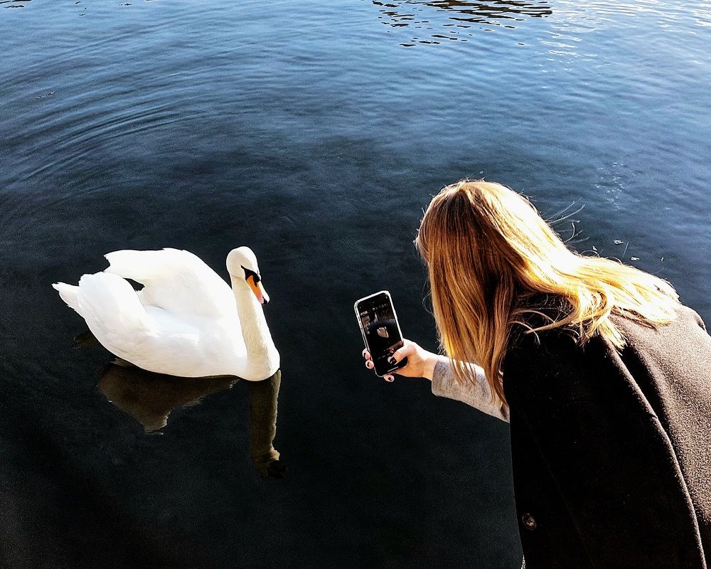 Photograph by Сергей Малашкин