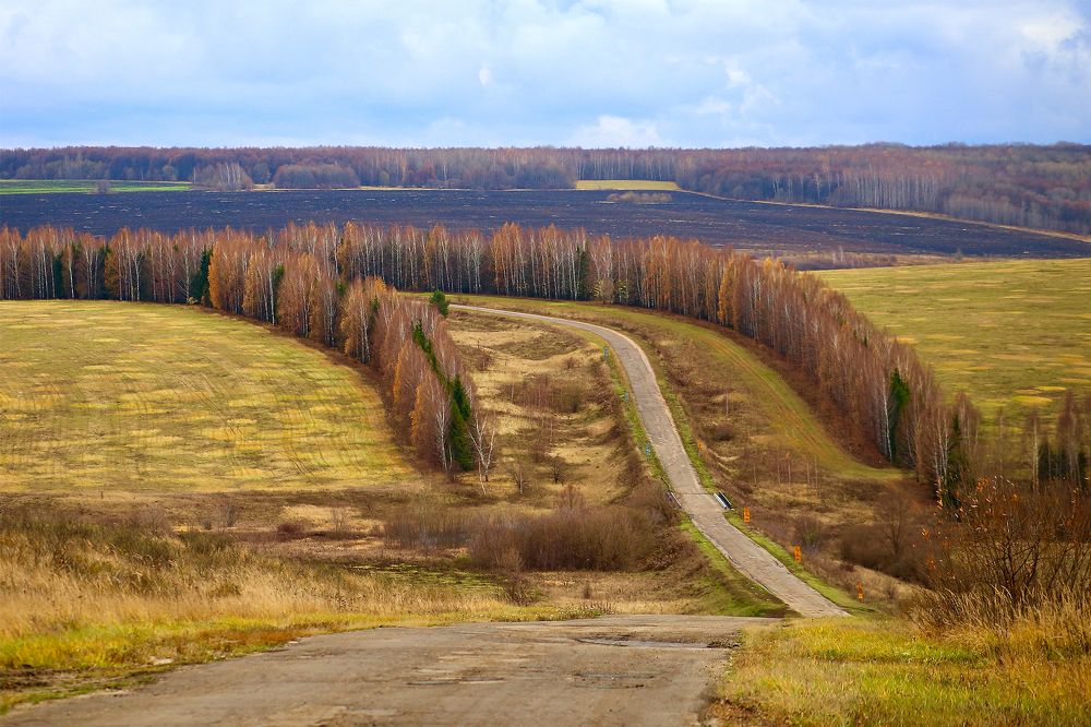 Яркий октябрь