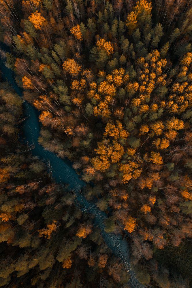 Photograph by Евгений Краснов