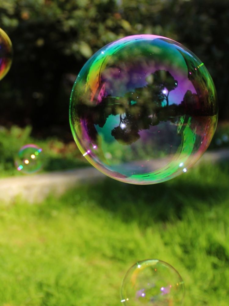 Photograph by Iryna Shyshkina