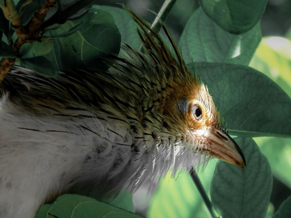 Photograph by María Laura Giorda