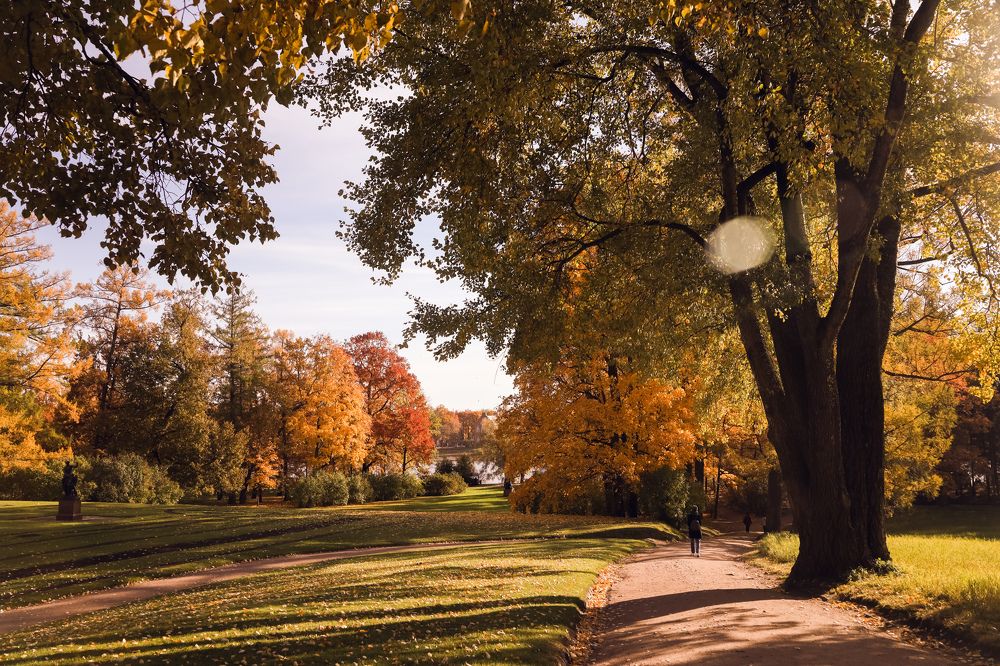 Photograph by Катя Цвет