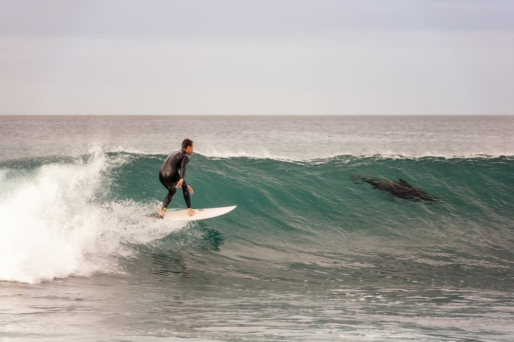 Кто быстрее?