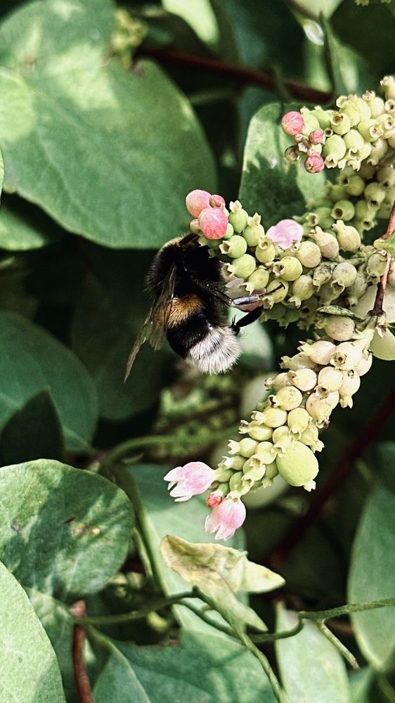 Photograph by Екатерина Балакина