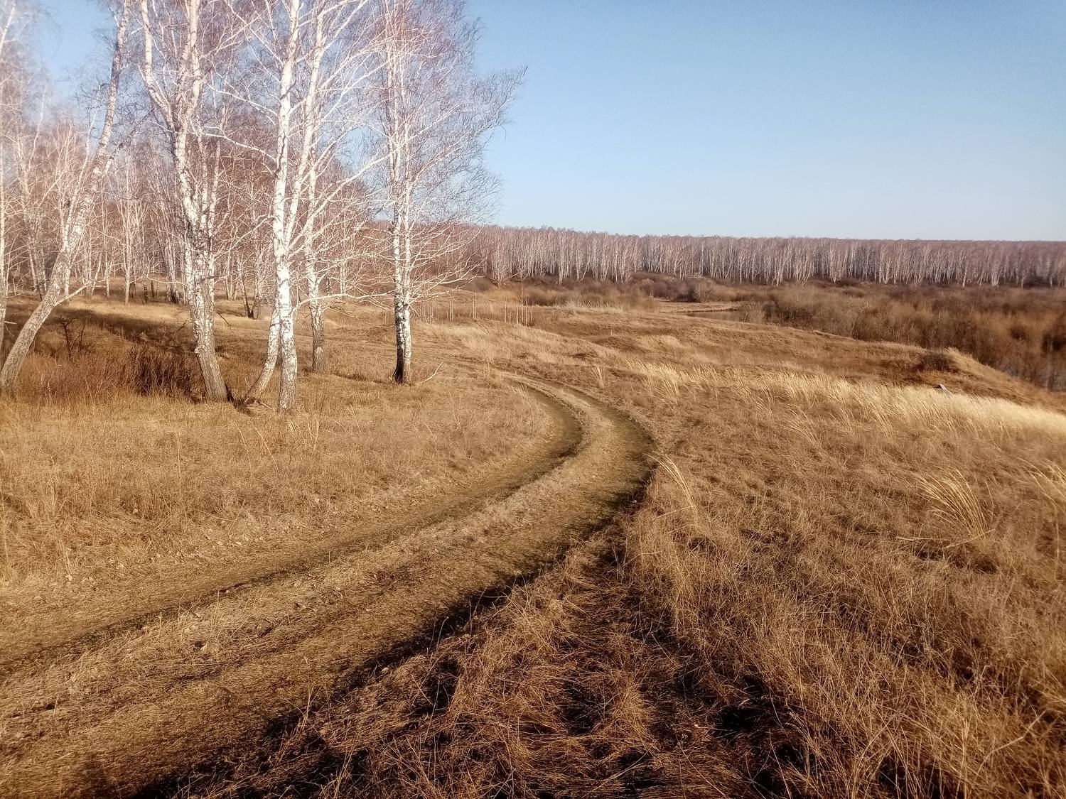 Photo #11224164