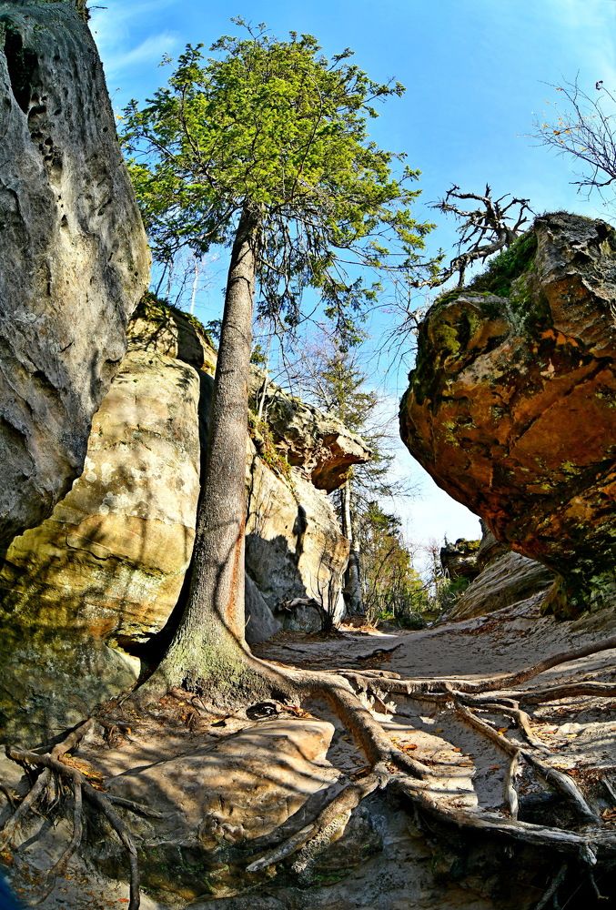 Photograph by Владимир Бикмаев