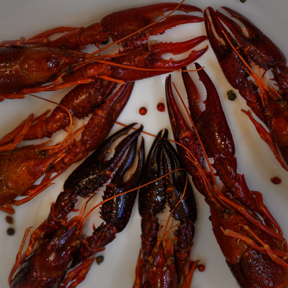 Photograph by OLGA BELYSHEVA