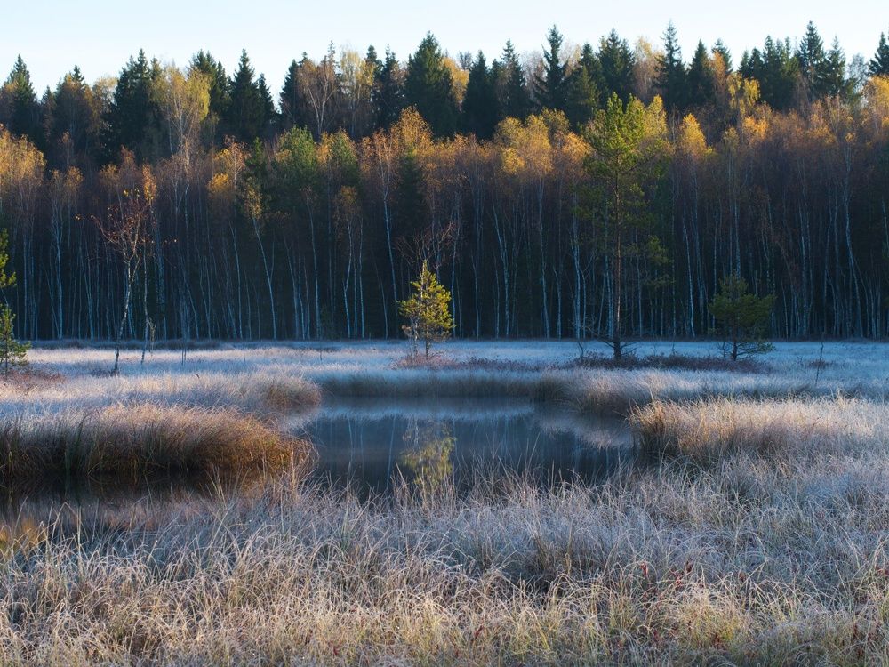 Photograph by Алексей Поляков