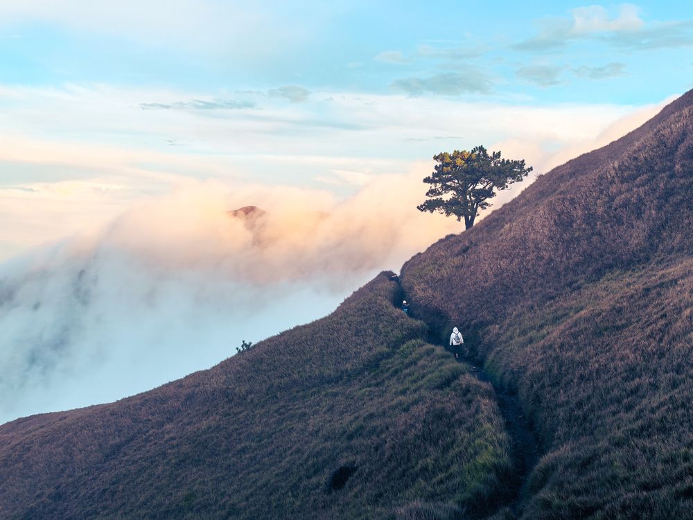 Photograph by Gerald Belanigue