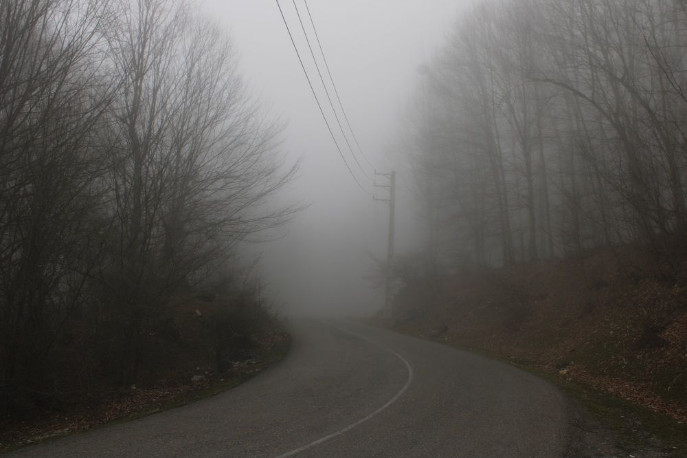 Фотография автора Mahdie Yousefi