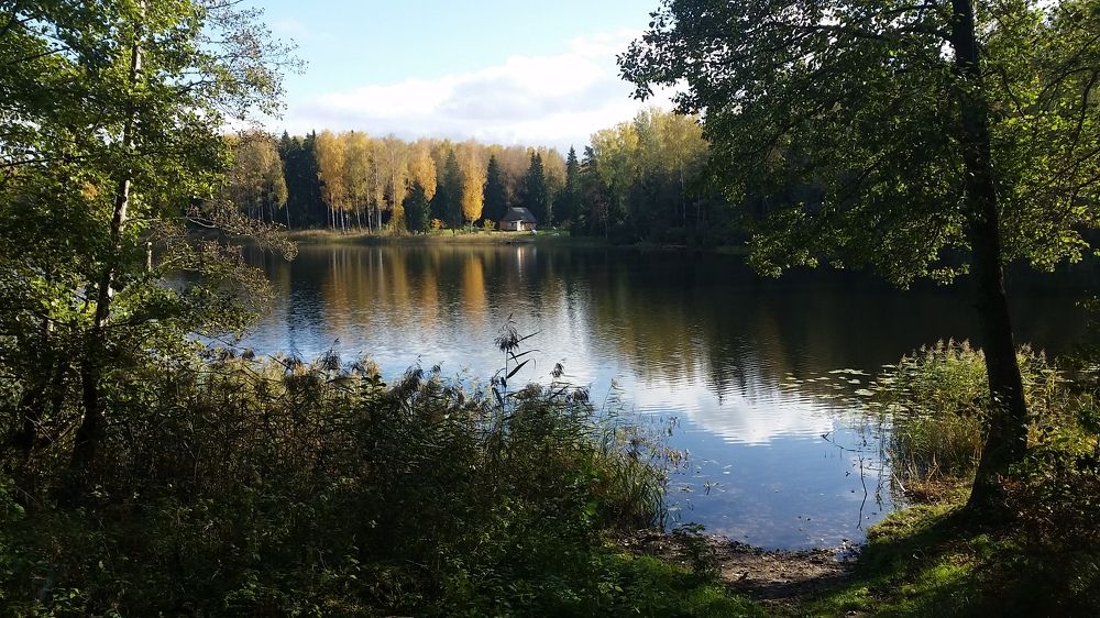 Фотография автора YURY RAMITSAN