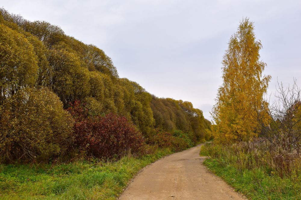 Photograph by Дмитрий Петров