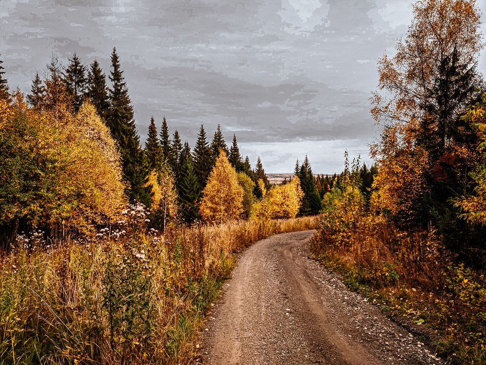 Фотография автора Ксения Шляйхер