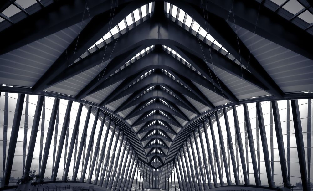 Photograph by Eva Wiedemann