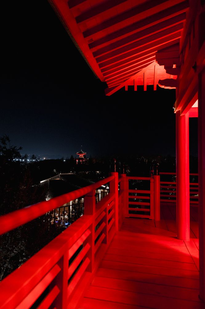 Photograph by Мария Раздорова