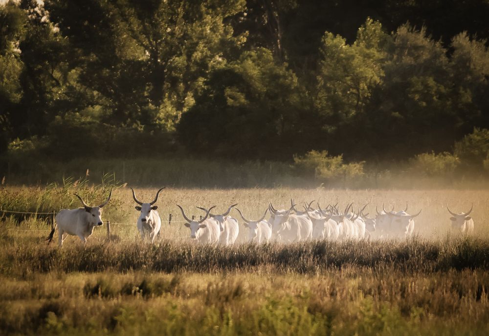 Photograph by Eva Wiedemann