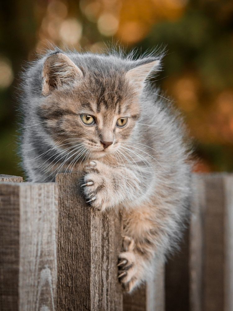 Photograph by Игорь Васильев