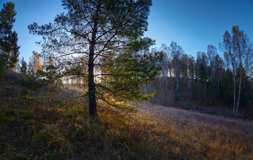 Тишина октября