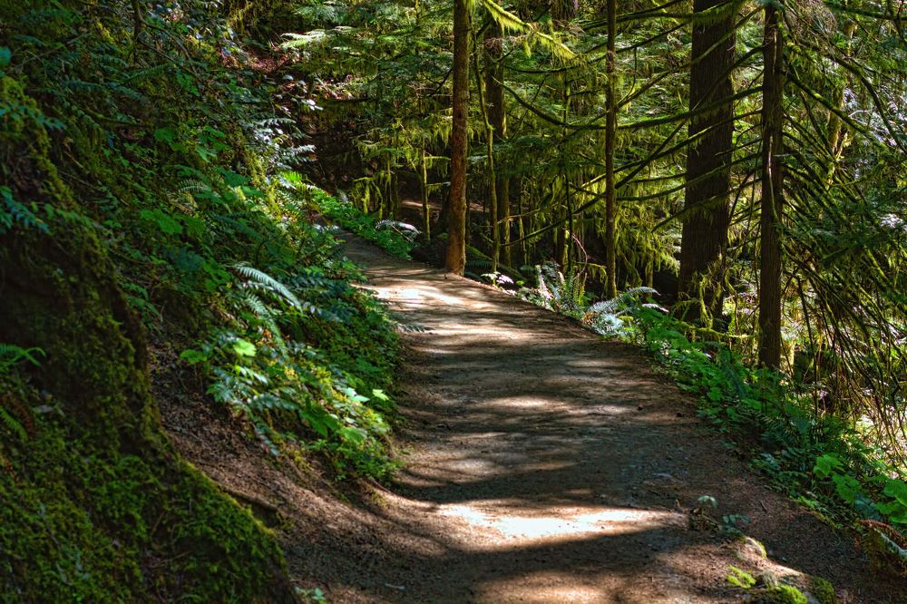 Photograph by A. G. Bisschop