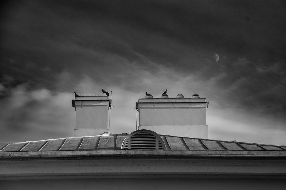 Photograph by Алексей