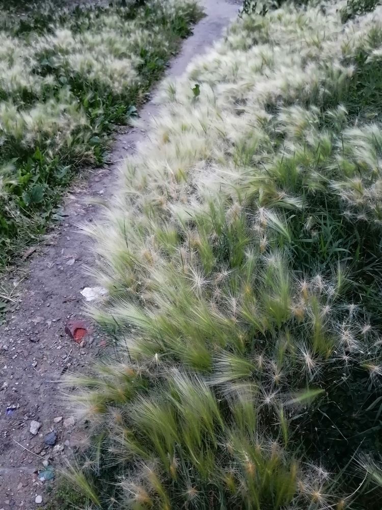 Photograph by Наталия