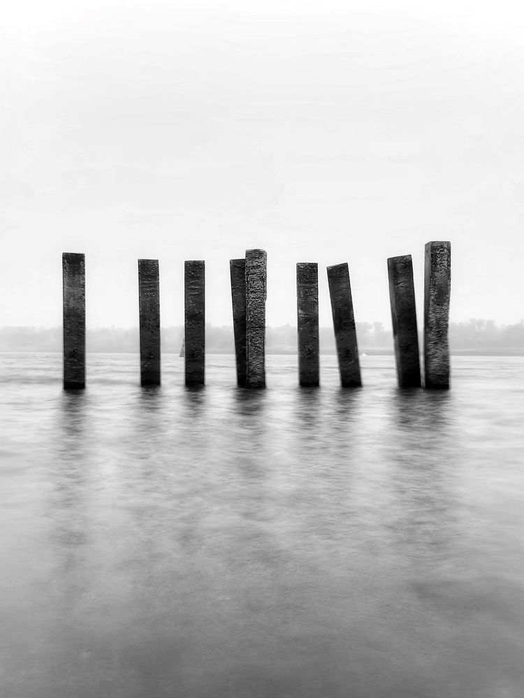 Фотография автора Tatiana Gongharova