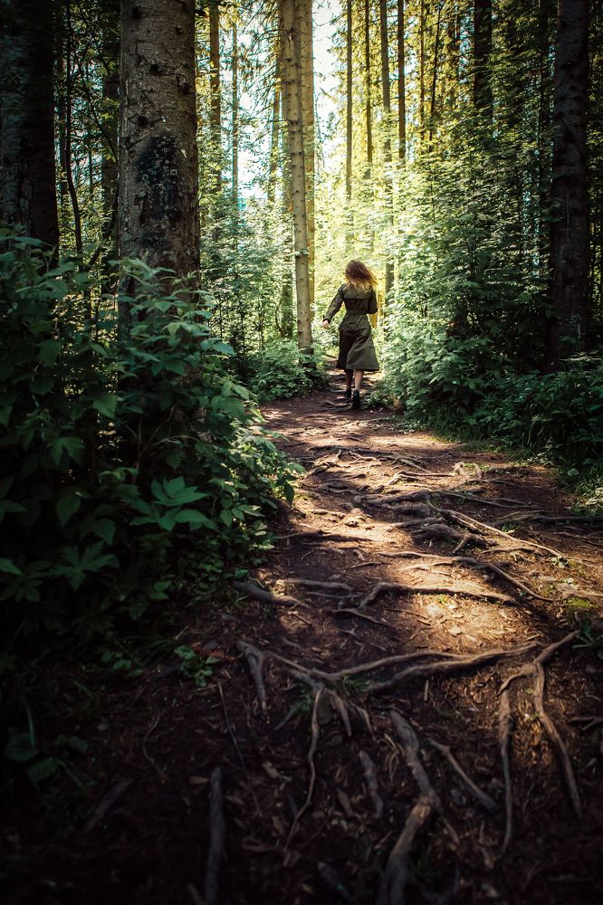 Беги на свет