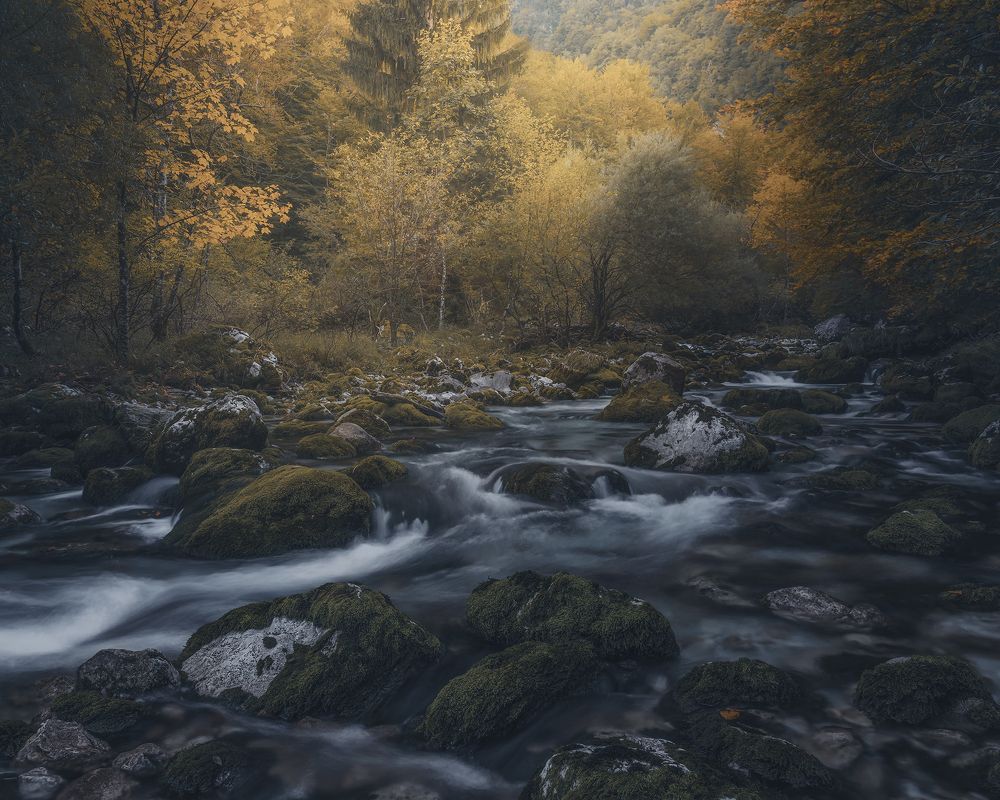 Photograph by de Franzoni Thomas