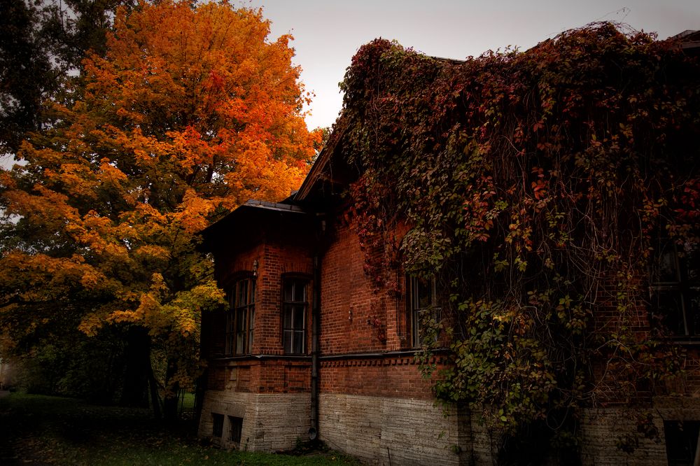 Фотография автора Ирина Гентош