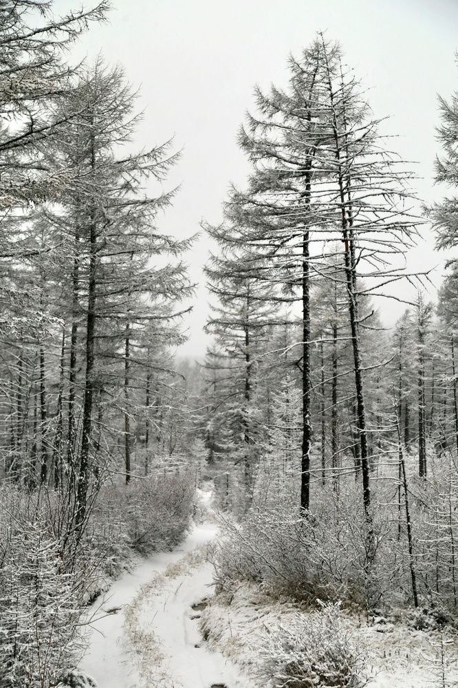 Photograph by 