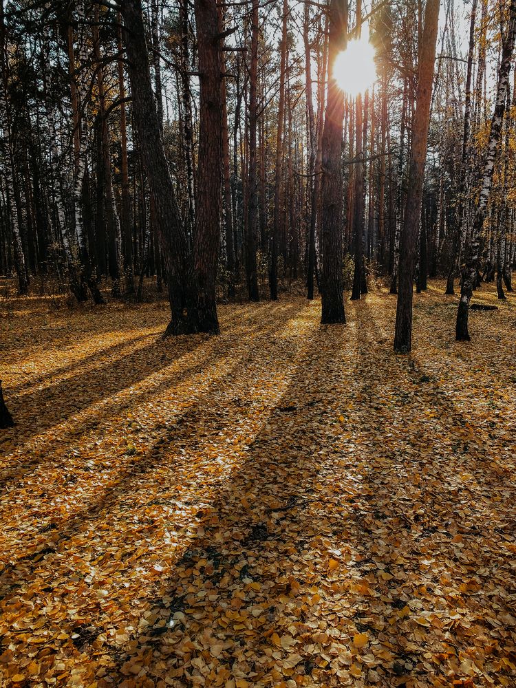 Photograph by Мария Петрова