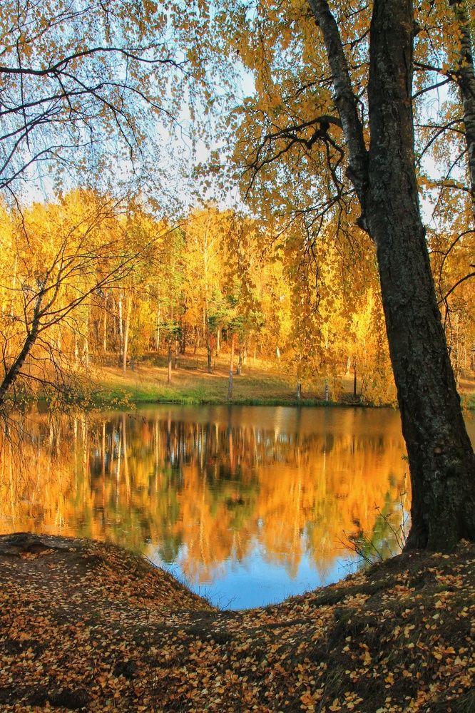 Photograph by Виктория Хмара