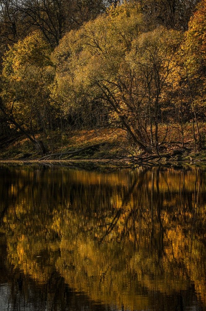 Photograph by Алена Лосева