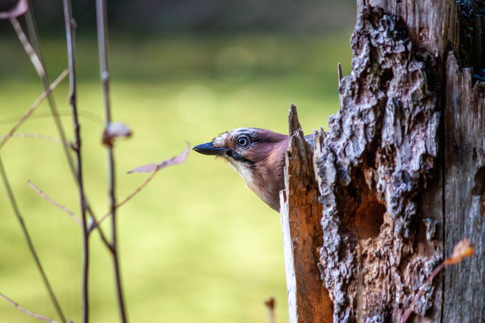 Photograph by Вячеслав Шуплецов