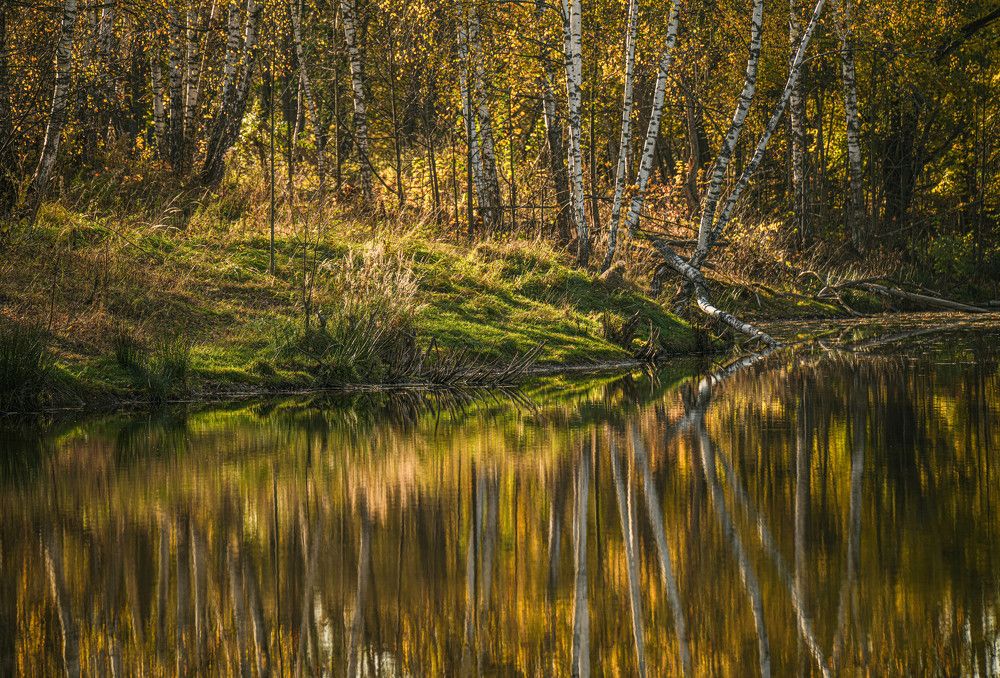 Photograph by Алена Лосева
